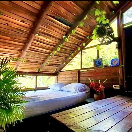 Tamarindo Beach Hostel Таганга Екстер'єр фото