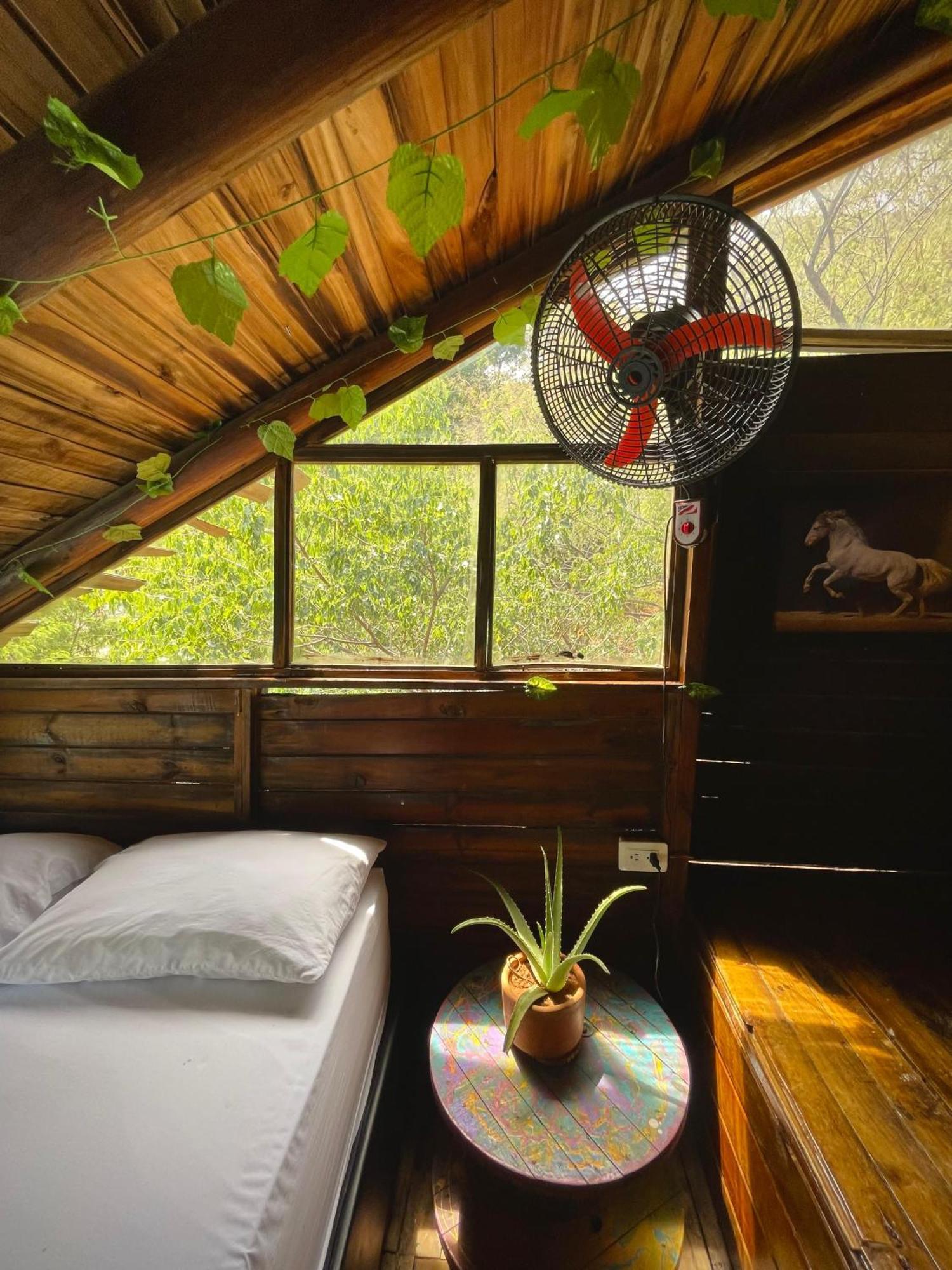 Tamarindo Beach Hostel Таганга Екстер'єр фото