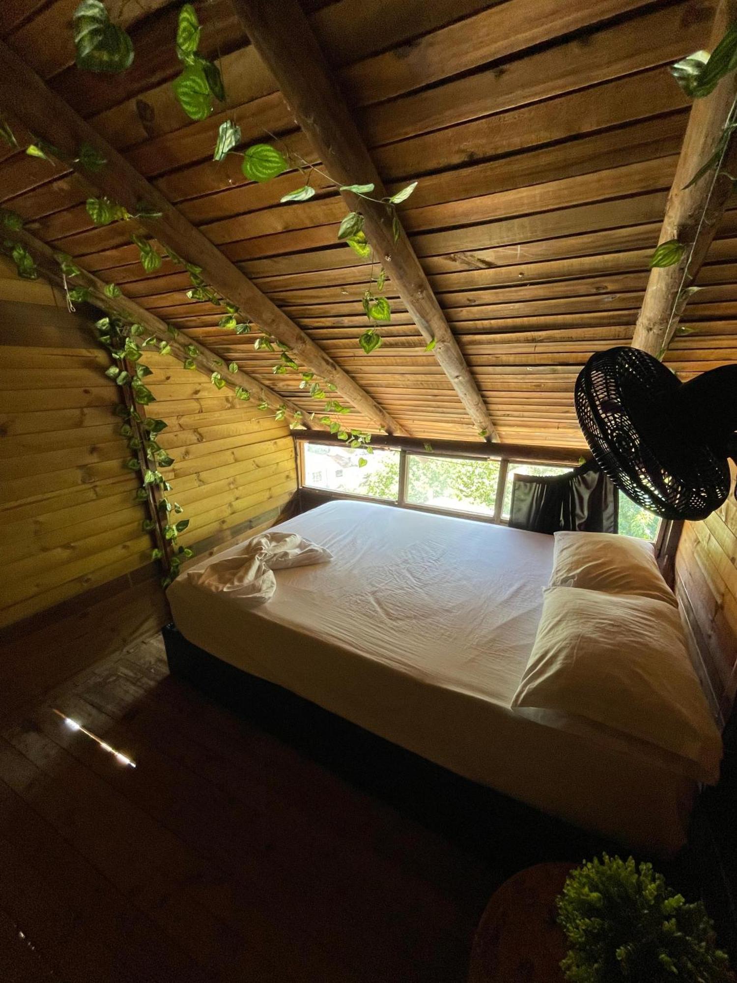 Tamarindo Beach Hostel Таганга Екстер'єр фото
