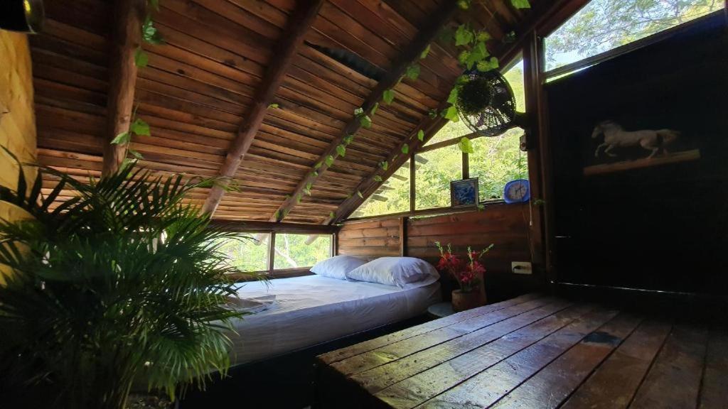 Tamarindo Beach Hostel Таганга Екстер'єр фото