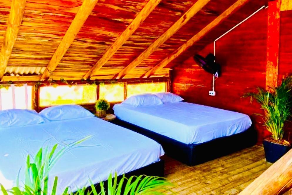 Tamarindo Beach Hostel Таганга Екстер'єр фото