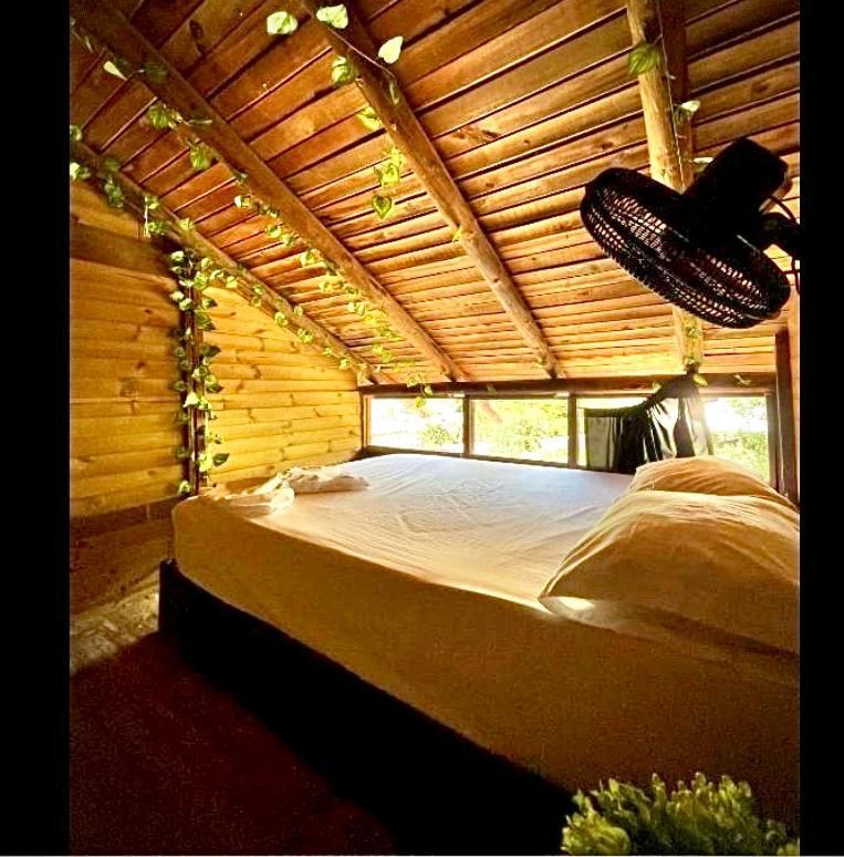 Tamarindo Beach Hostel Таганга Екстер'єр фото